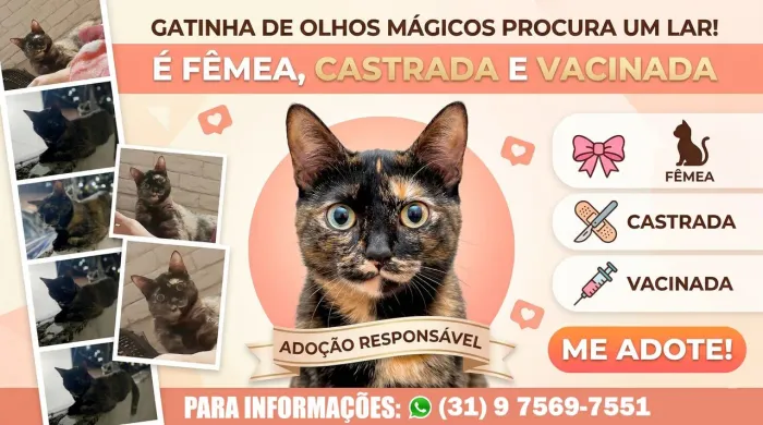 Adoção com amor