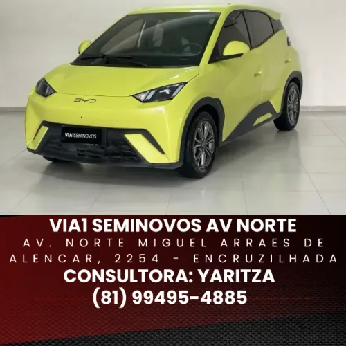 BYD Dolphin Mini (Elétrico) 2025