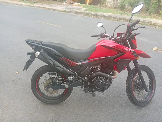 SHINERAY SHI-175