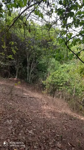 Chácara: 28.000 m2,