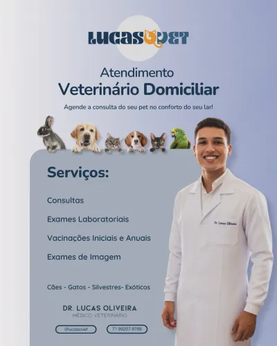 Veterinário Domiciliar