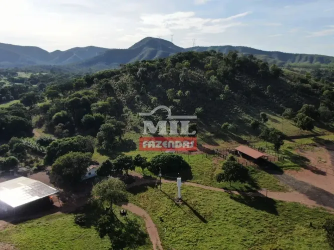 Fazenda 105 Alqueires (508 hectares) Vila Propicio-GO