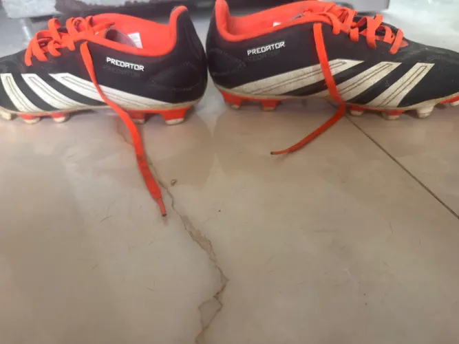 Chuteira campo adidas predator original
