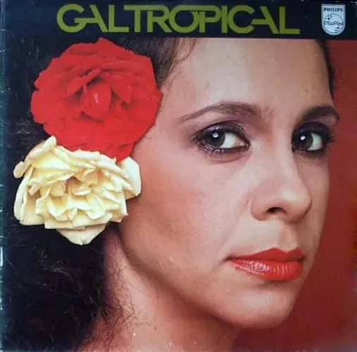 Vinil Gal Tropical