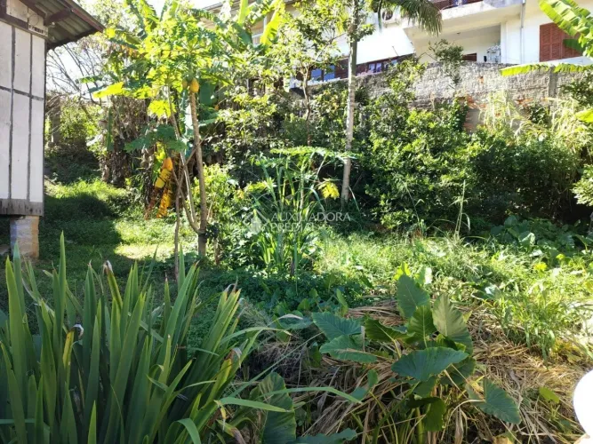 Terreno à venda no Córrego Grande com 600 m², ideal para construção e investimento.