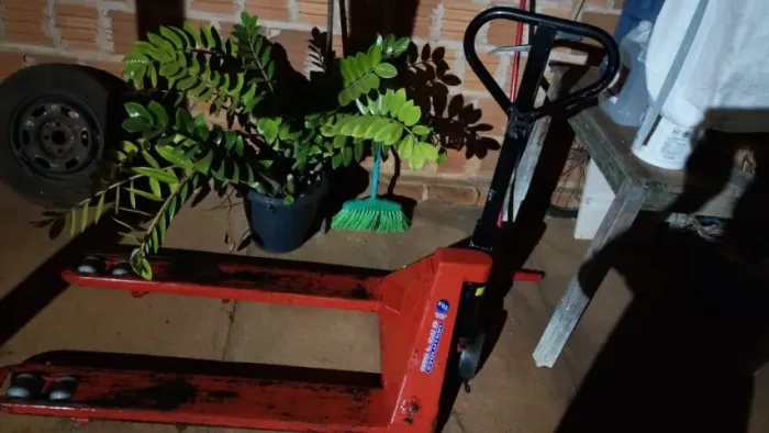 Palheteira 2.600 kilos