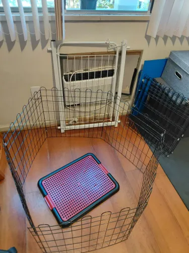 Portão, cercadinho e sanitário pata pet