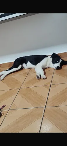 Doação