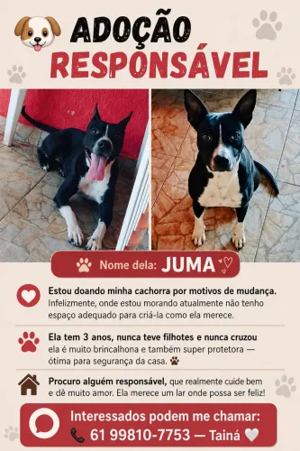 Doação 