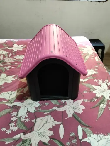 Casinha pet