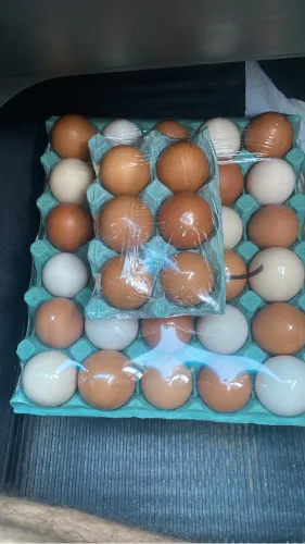 OVOS DIRETO DA ROÇA PARA SUA MESA! PLACA COM 30 