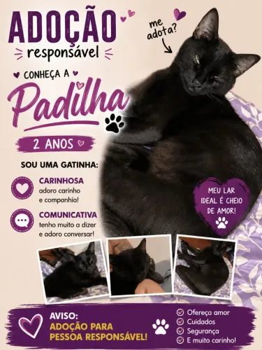 Adoção responsável 