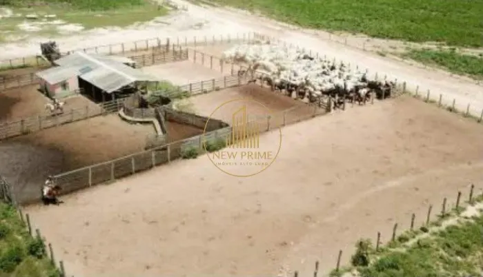 Fazenda à venda, 3 quartos, 3 suítes, 8 vagas, Centro - Baianópolis/BA
