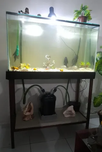 AQUÁRIO COMPLETO 
