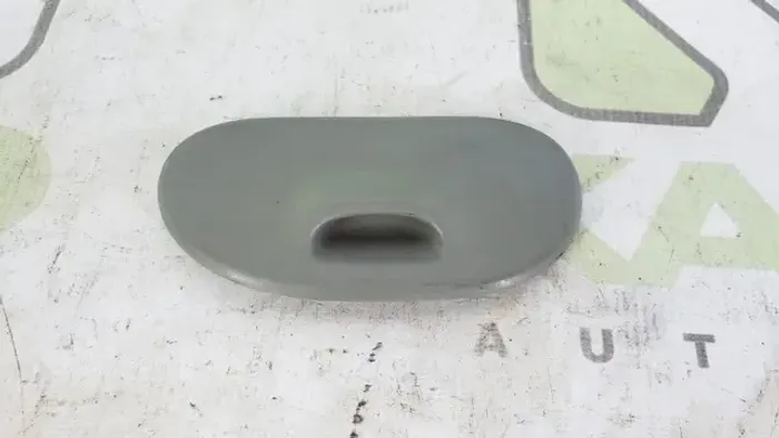 Tampa cinzeiro porta traseira Renault Scenic 02/10