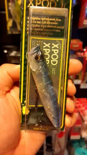 Isca MEGABASS- XPOD Jr.