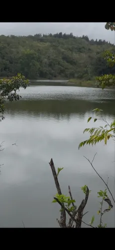 Oportunidade VD fazenda 331 hectares Putiri - Serra