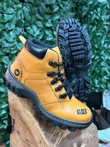 Bota cat