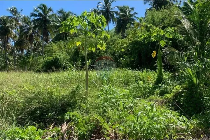 Ótimo investimento num refúgio na Rota Ecológica dos Milagres!