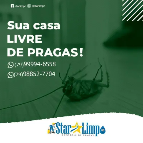 Dedetização profissional Aracaju 