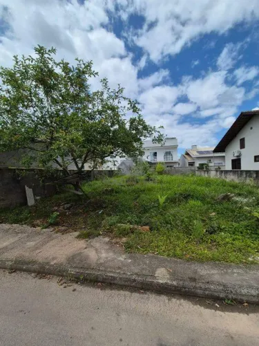 Terreno plano com 240 m² no bairro Limoeiro no Loteamento Jardim Azaléia