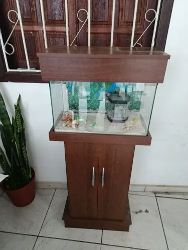 Aquário