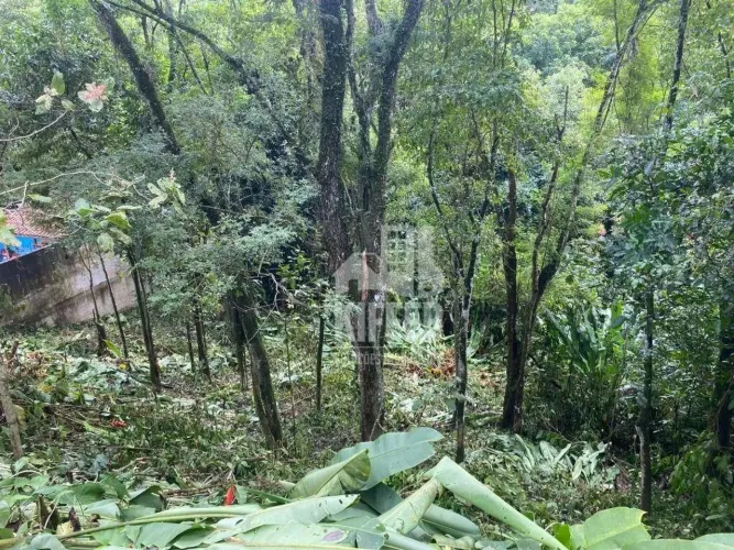 Terreno à Venda no Lírios do Campo IV | 444m²
