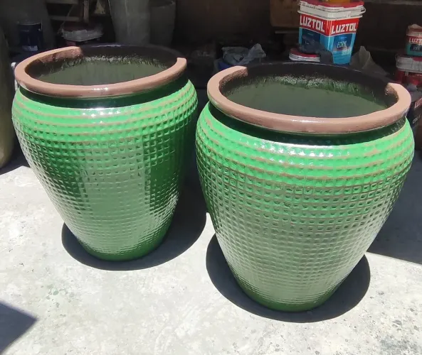 Vasos de plantas