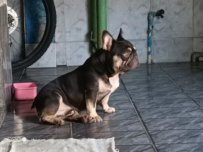 Disponível para cobertura 