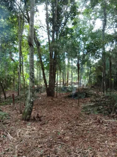 Terreno na Estrada do Laranjal 10x40/20x40