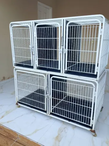 Canil Gaiola para pet shop