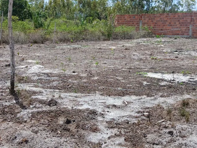 Terreno em Terra Caída, Indiaroba -SE