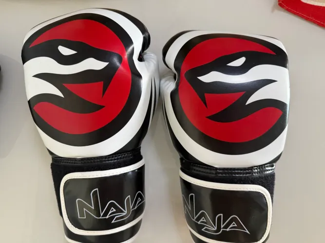 Luva Muay Thai Boxe Naja 14 Oz - Zerada