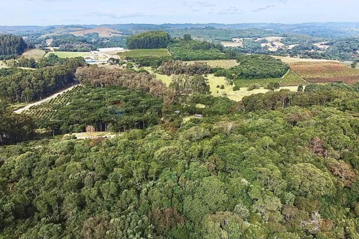 Área rural excelente para construção de chácara.