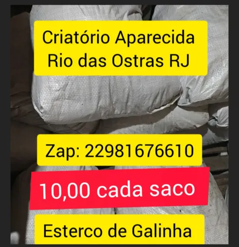 Esterco de Galinha 