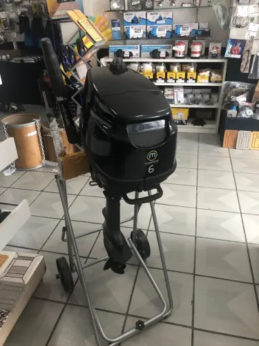 PARSUN 6HP 4TEMPOS - motor de popa usado
