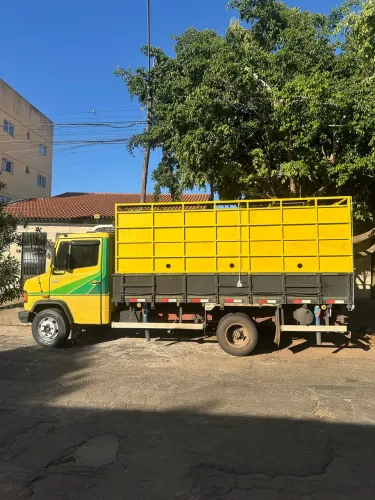 Caminhão extra boiadeiro