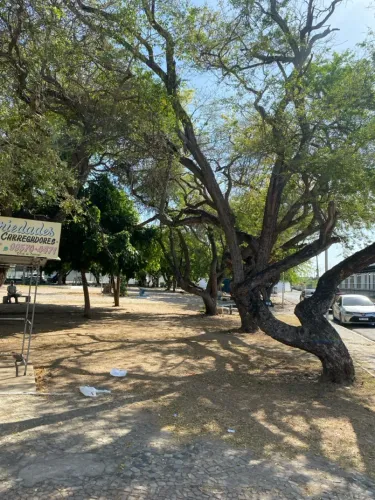Terreno em Parnaiba