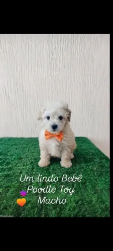 Ótimo presente para dia das crianças.