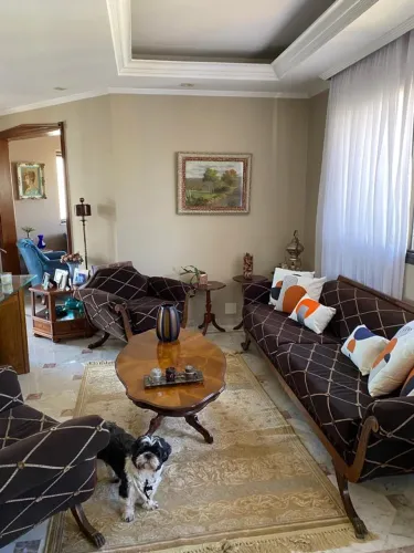 Apartamento com 360 graus de vista para o parque da aclimação , com armários em todos os d