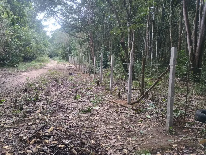 Terreno em Paulista medindo 50×120