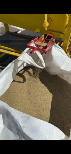 Milheto 2.700 kg