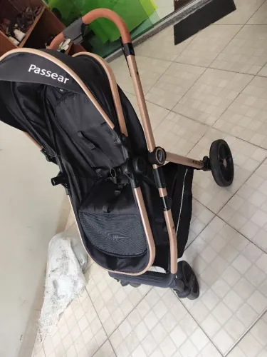 carinho de bebê Moisés
