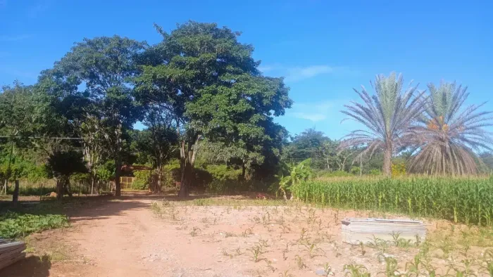 Chacara no Núcleo Rural Morumbi- Planaltina/DF com 2.2 hectares