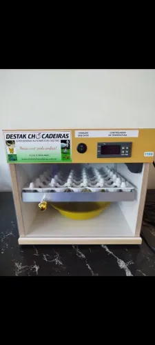 Chocadeira 30 ovos galinha