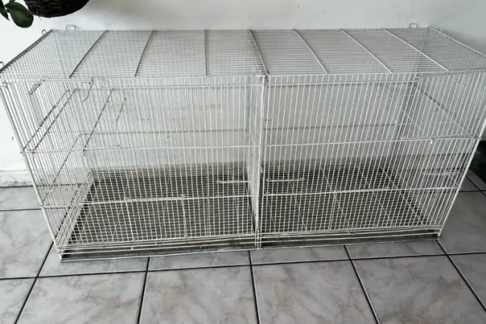 Viveiro / Voadeira para Calopsitas e Agapornis + Suporte com Rodas