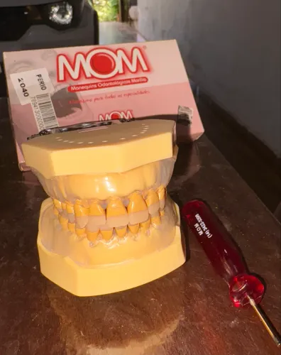 Manequim para Periodontia com Doenças Periodontais - MOM