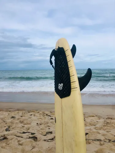 Surf