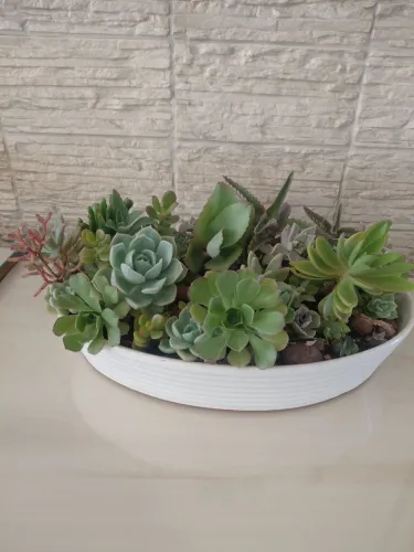 Jardinagem