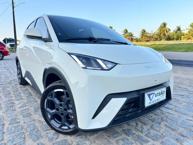 BYD Dolphin Mini (Elétrico) 2027